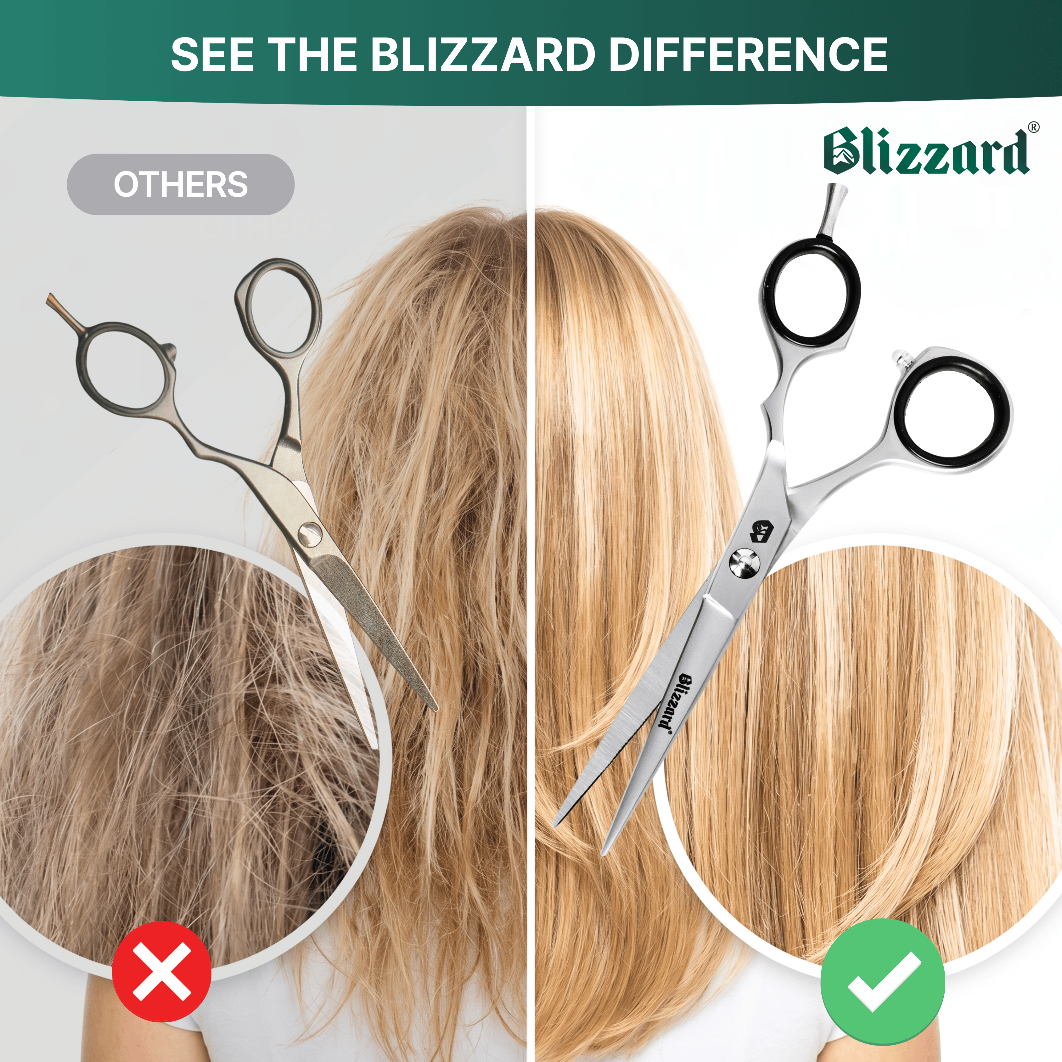 Others vs Blizzard
